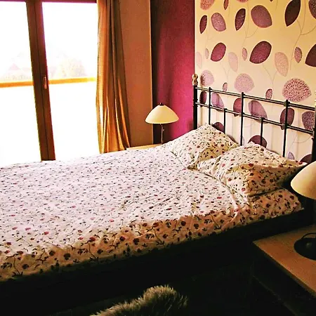 Apartament Szarotka Apartment *